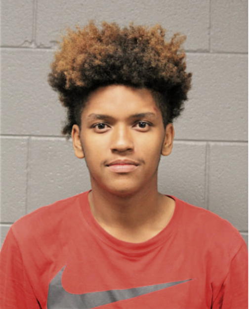 GABRIEL L MONTES, Cook County, Illinois