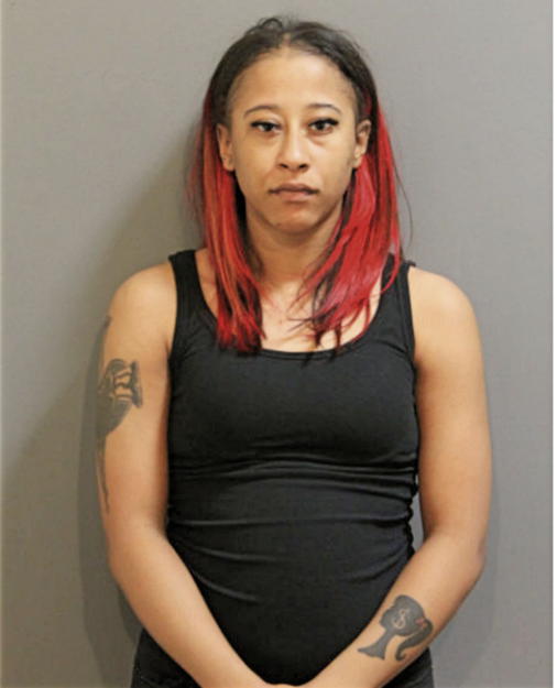 BRITTANY N NASH, Cook County, Illinois
