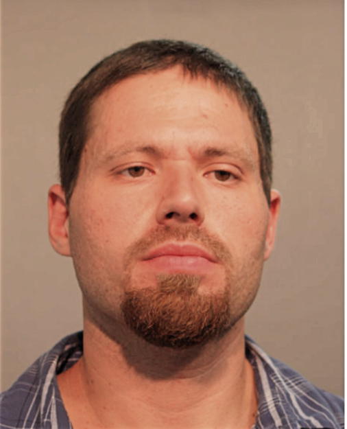 AARON K NELSON, Cook County, Illinois