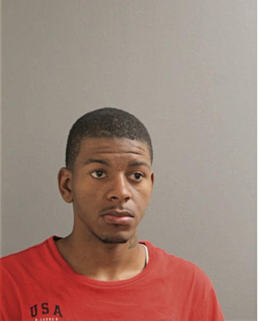 MICHAEL K RAGGS, Cook County, Illinois