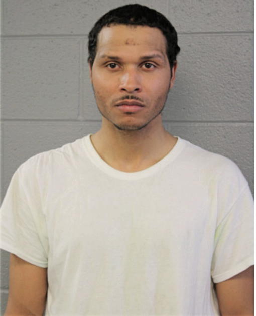 CHRISTOPHER D SAGO, Cook County, Illinois