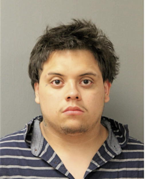 MICHAEL J SALGADO, Cook County, Illinois