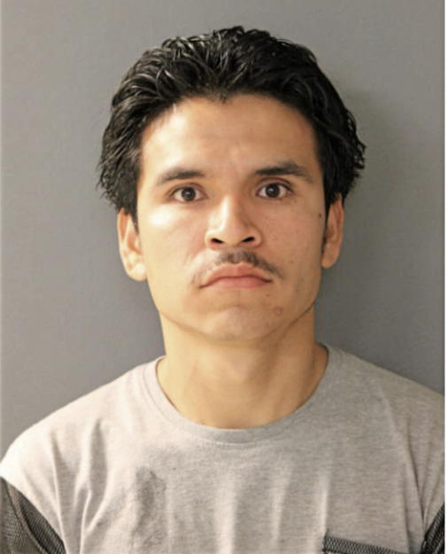 PABLO SALGADO, Cook County, Illinois