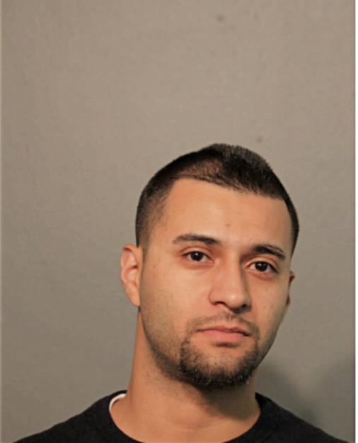 NINO SHIMON, Cook County, Illinois
