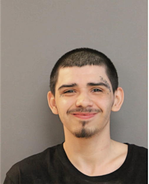 JOSE A VARELA, Cook County, Illinois