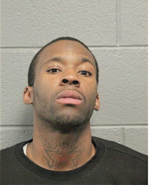 TERE T WHITE, Cook County, Illinois