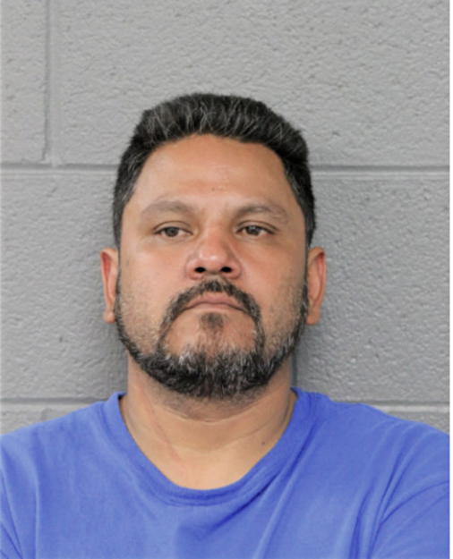MICHAEL J ALMENDAREZ, Cook County, Illinois