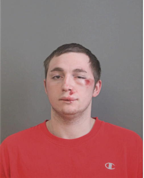 JERRY J ANSELMINI, Cook County, Illinois