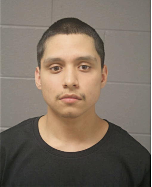 FABIAN ARRIAGA, Cook County, Illinois