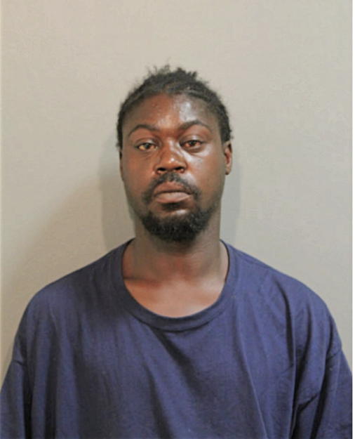 STEVE A BROWN, Cook County, Illinois