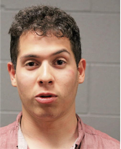 ROBERTO CORTES, Cook County, Illinois