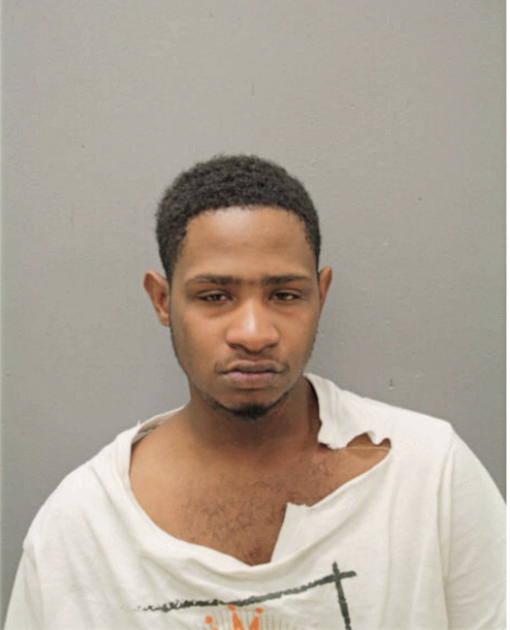 CHRISTIAN VJ DAVIS, Cook County, Illinois