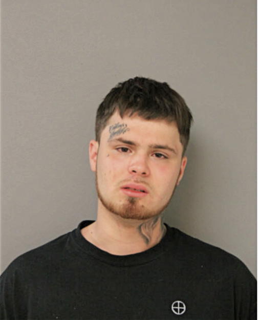VINCENTE D ENRIQUEZ, Cook County, Illinois
