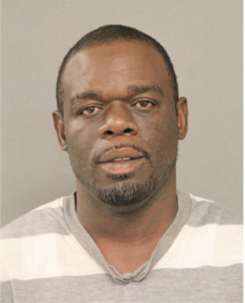 RONALD W FORD, Cook County, Illinois