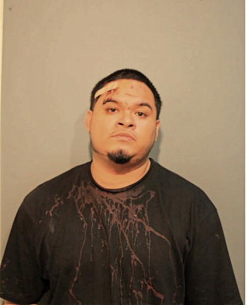 MATTHEW L GARCIA, Cook County, Illinois