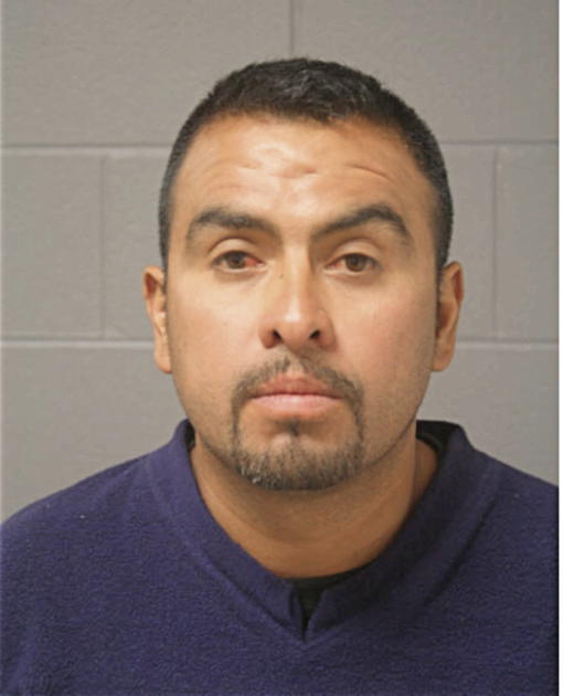 JULIO CESAR GONZALEZ, Cook County, Illinois