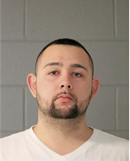SAMI HALEEM, Cook County, Illinois