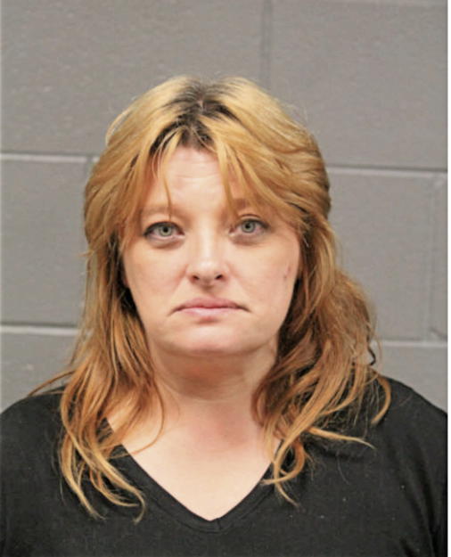 MICHELLE A KUDZIN, Cook County, Illinois