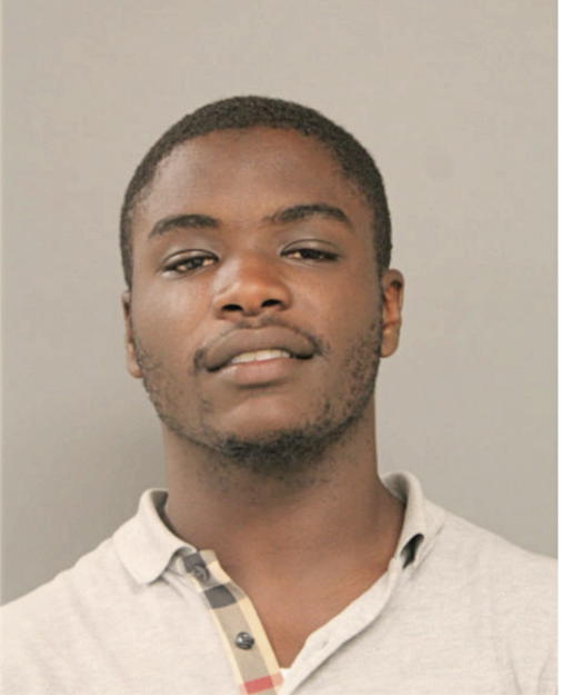 SAMUEL L LEWIS, Cook County, Illinois