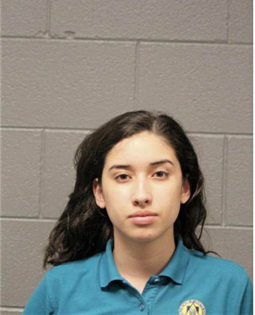 AMANDA L MARTINEZ, Cook County, Illinois