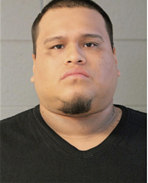 AARON MEDA, Cook County, Illinois