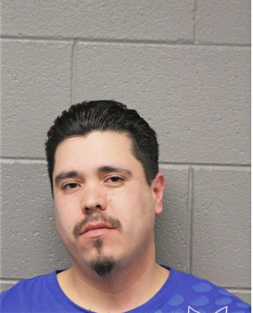 ANGEL E MEZA-SALCEDO, Cook County, Illinois