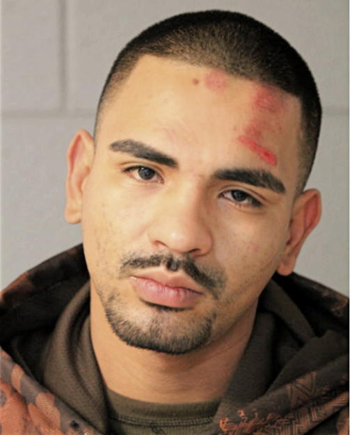 ULISES A MORENO, Cook County, Illinois