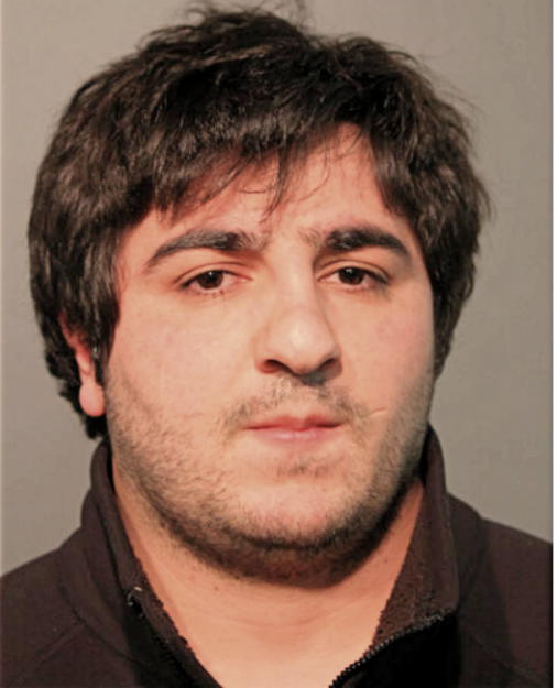 RAMIL MUSAEV, Cook County, Illinois