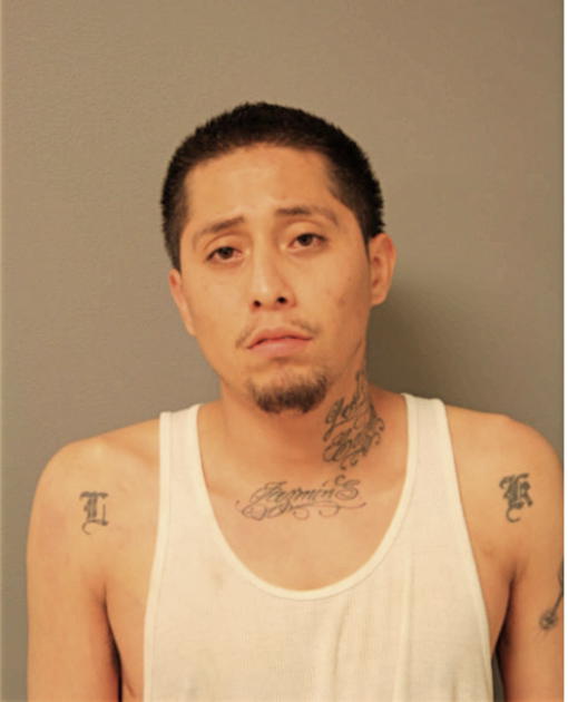 LUIS A SALGADO, Cook County, Illinois