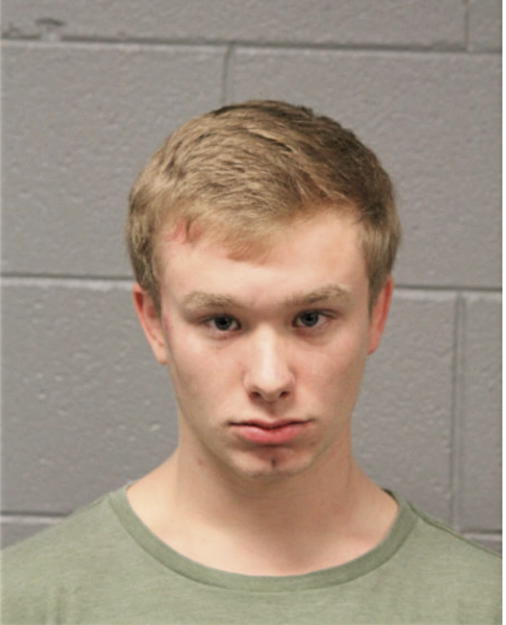 AUSTIN T SALVINO, Cook County, Illinois