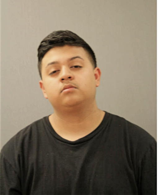 BRANDON A SOTO, Cook County, Illinois