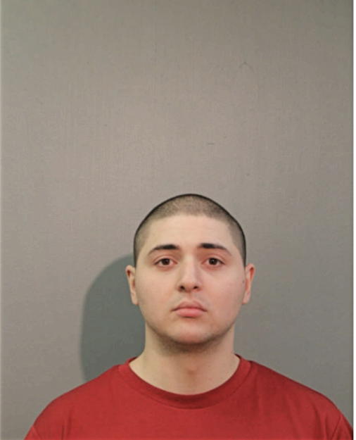 ADAM TORRES, Cook County, Illinois