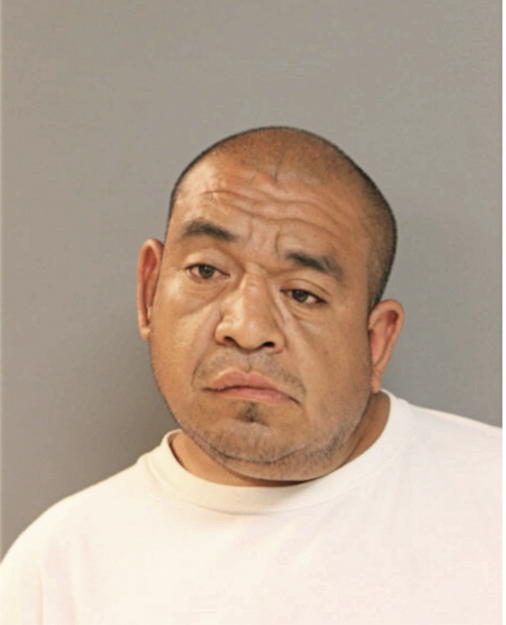 GABINO VARGAS, Cook County, Illinois