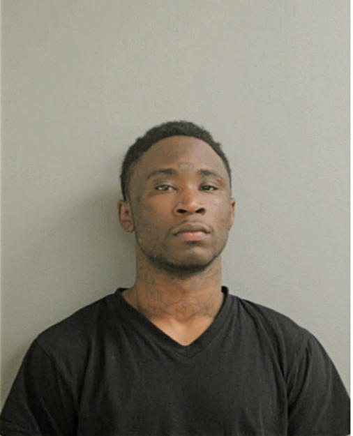 ROBERT L WILSON, Cook County, Illinois