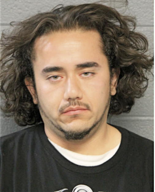 IRVIN ACOSTA, Cook County, Illinois