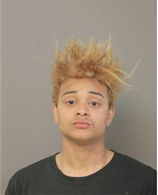SHAWN D ALEXANDER, Cook County, Illinois