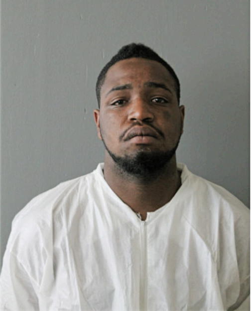 DION R ALLEN, Cook County, Illinois