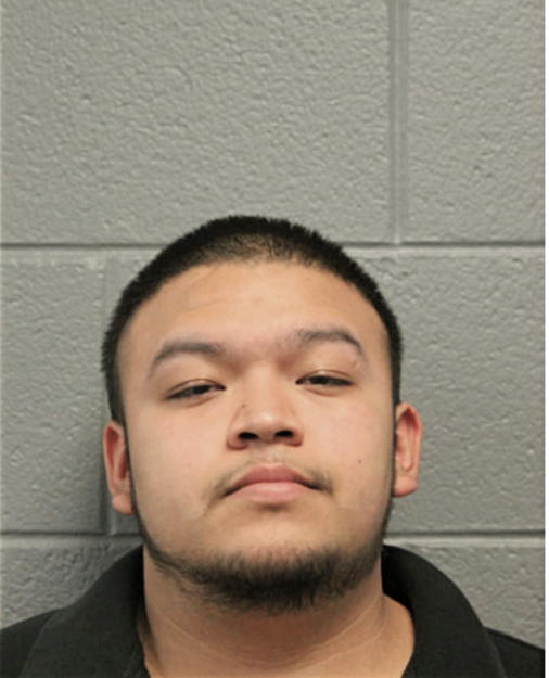 ERIK B DE JESUS VARGAS, Cook County, Illinois
