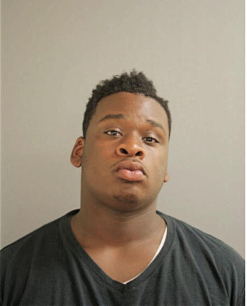 ALVIN A BURRAGE, Cook County, Illinois
