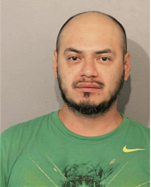 FERNANDO M DELGADO, Cook County, Illinois