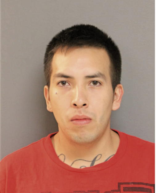 CARLOS F GALLEGOS, Cook County, Illinois