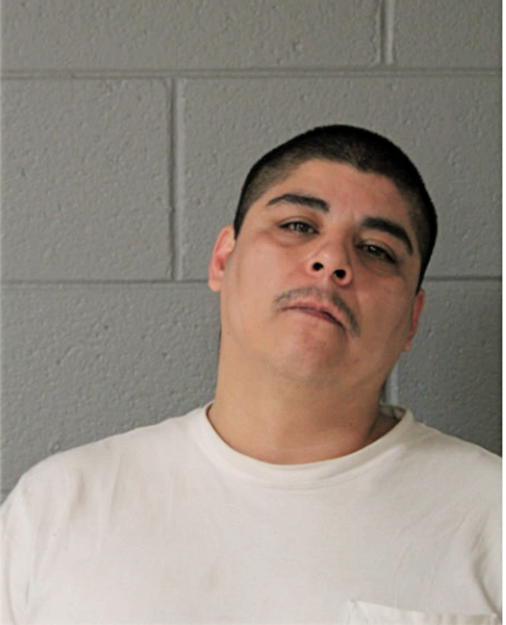 LOUIS J GONZALEZ, Cook County, Illinois