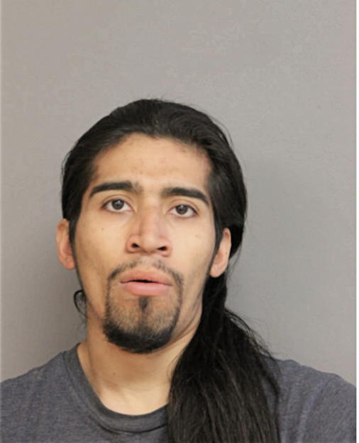 JESUS A HERNANDEZ, Cook County, Illinois