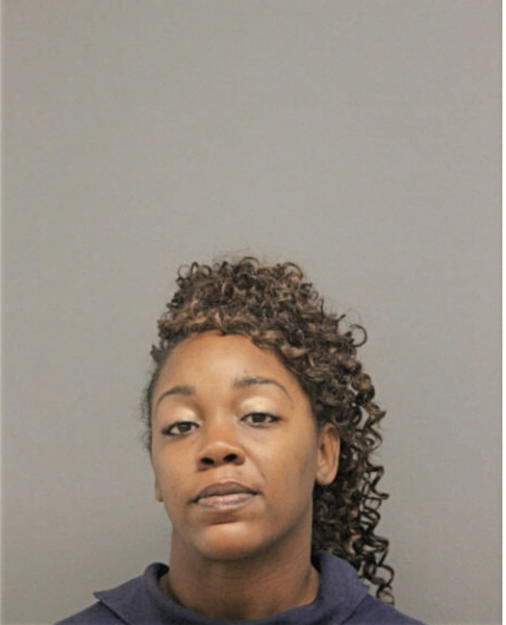ANN M HIGGINBOTTOM, Cook County, Illinois