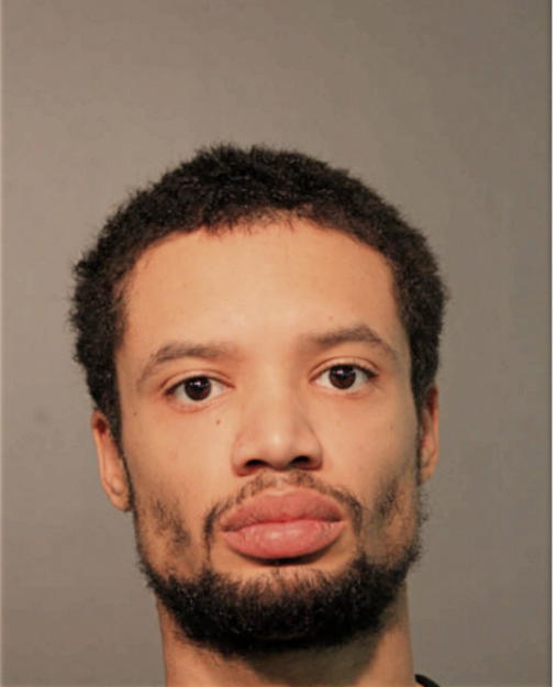 HUGH L HODGES, Cook County, Illinois