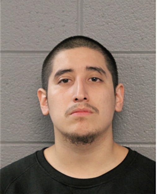 MARIO LARA, Cook County, Illinois