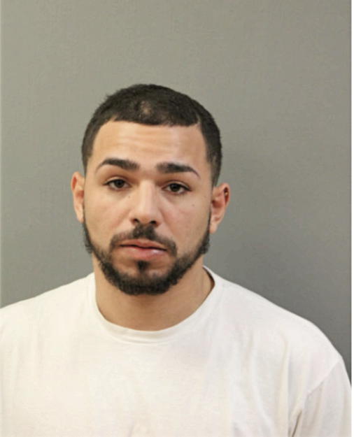 GREGORIO V LOZADA, Cook County, Illinois