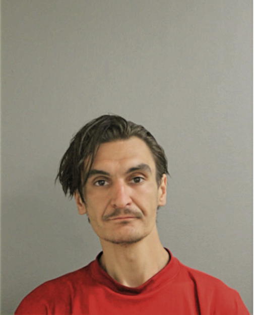 ANDREI MAIOR, Cook County, Illinois