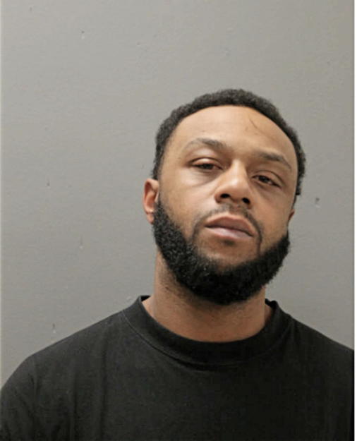 DAVID L MC GURIE, Cook County, Illinois