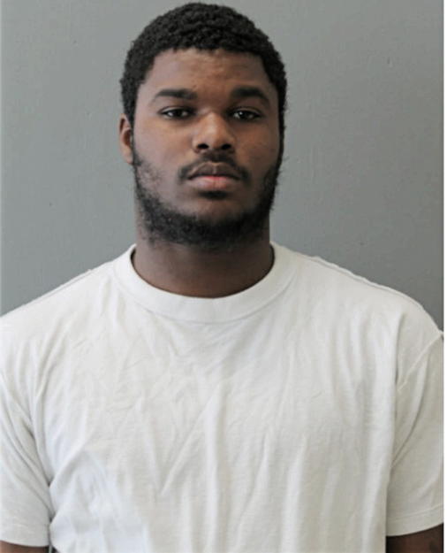 JERMAINE L NIXON, Cook County, Illinois